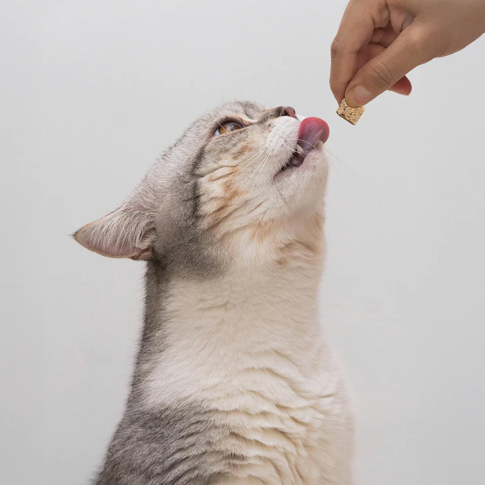 Kitty Cubes Open Farm; textura crujiente ideal como snack