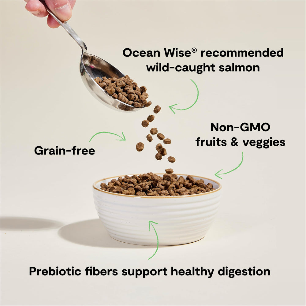 Open Farm fibras prebióticas digestión: soporte suave para la salud intestinal