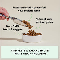 Open Farm frutas y verduras naturales, dieta completa para perros con gusto suave.
