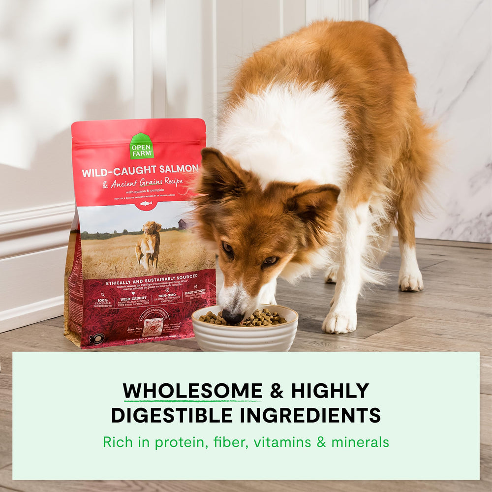 Open Farm frutas y verduras sin modificaciones genéticas, nutrición equilibrada para perros.