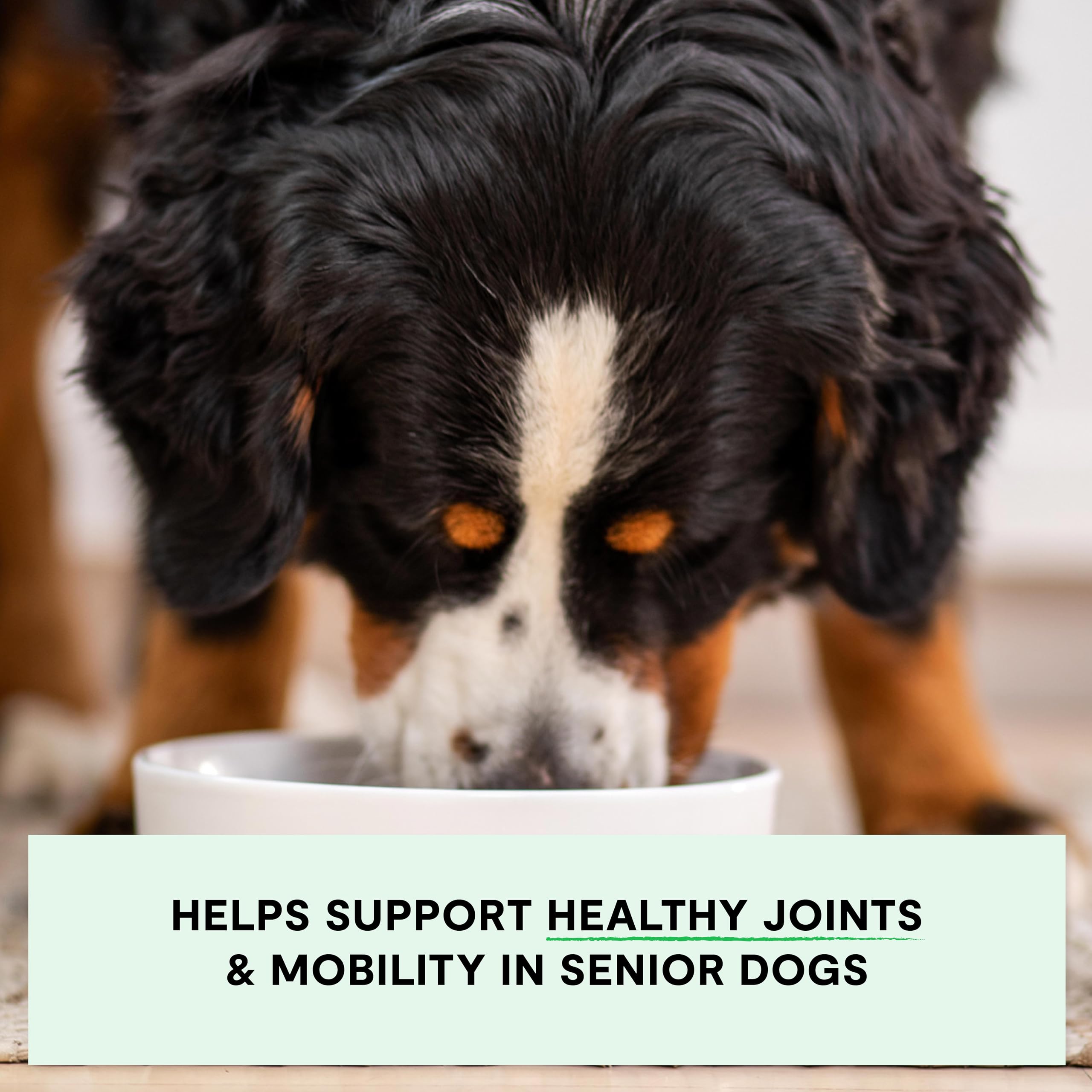 Open Farm kibble senior, articulaciones con mejillón de labios verdes y omega-3.