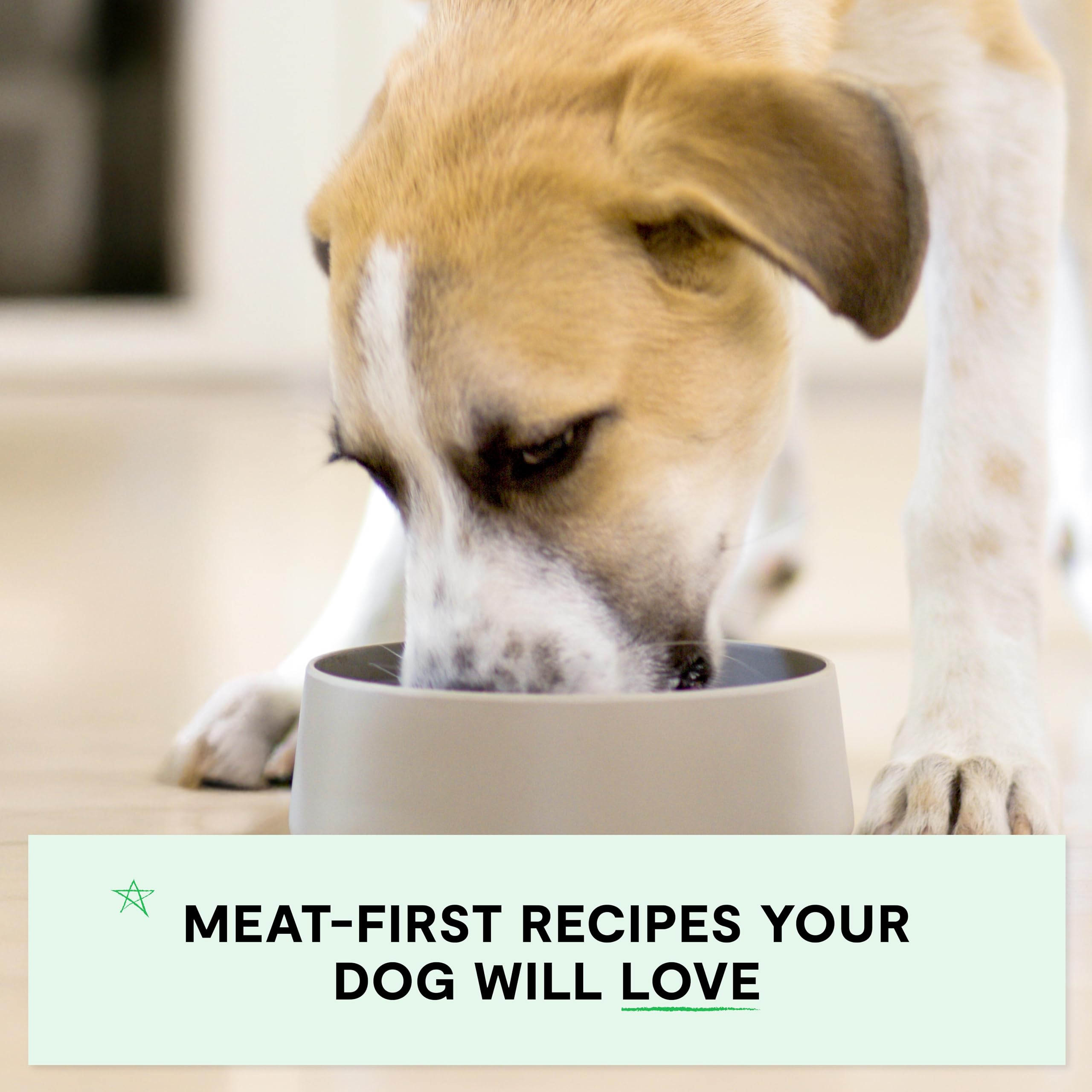 Open Farm lata cachorro ingredientes éticos y trazables respetuosos con animales y planeta
