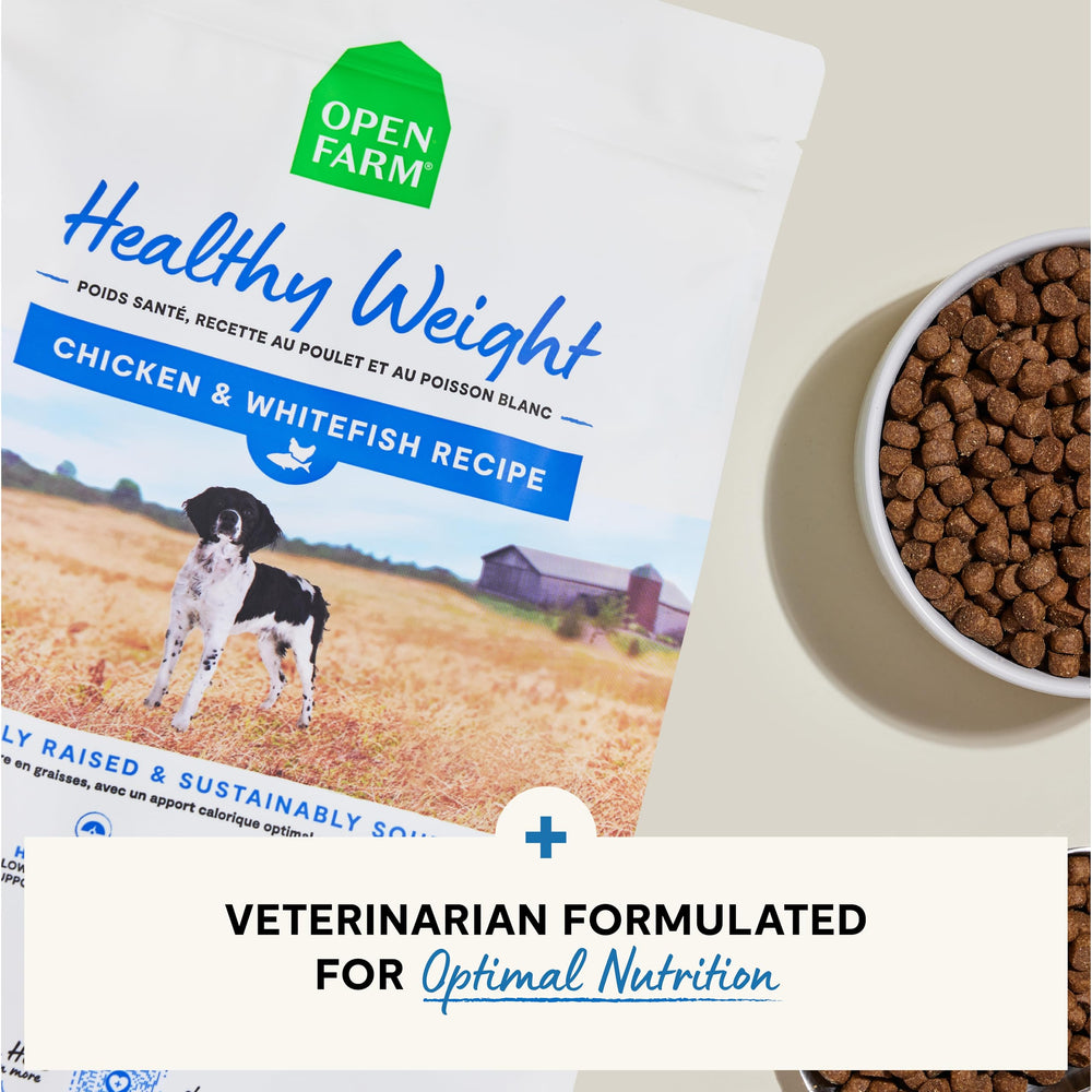 Open Farm Omega 3 ayuda a articulaciones y movilidad del perro