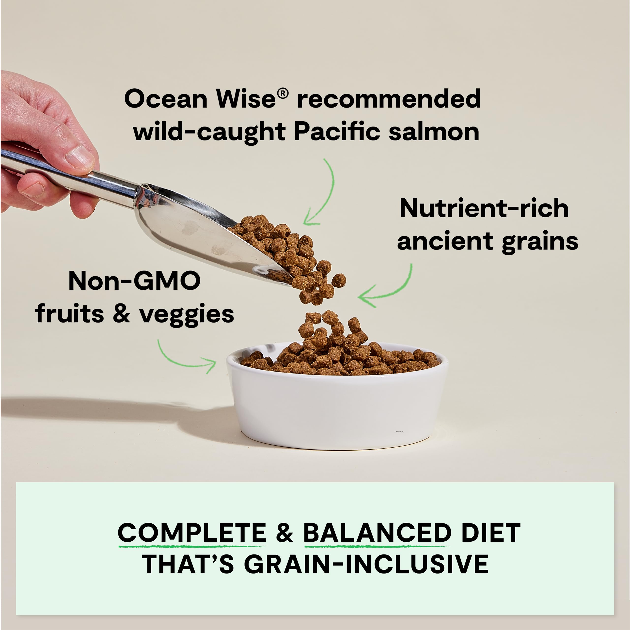 Open Farm dieta-granos completa, nutrición equilibrada para perros