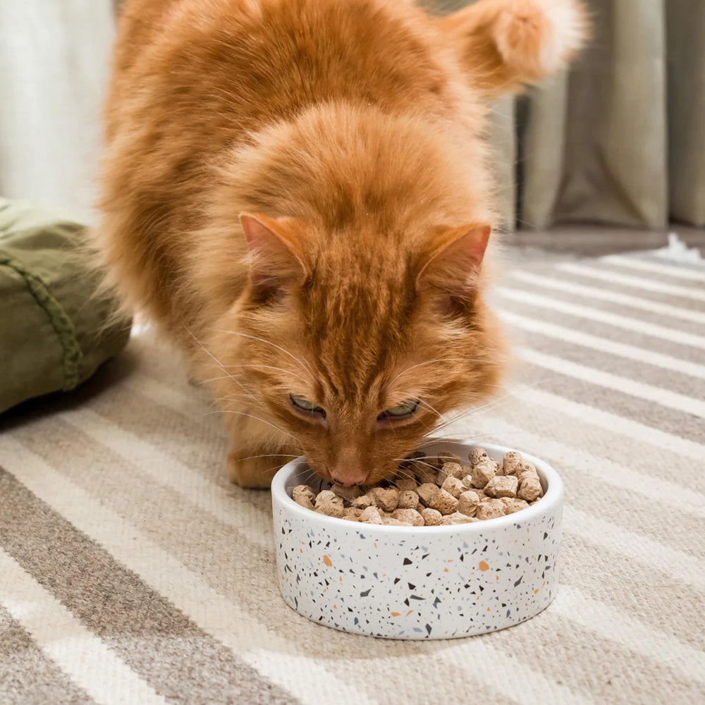 Open Farm Harvest Chicken, premios gato liofilizados para snack