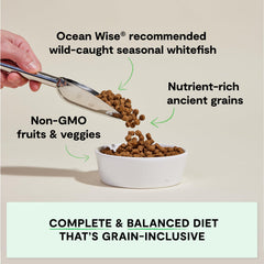 Open Farm Principales ingredientes: proteína y fibra para una dieta equilibrada.