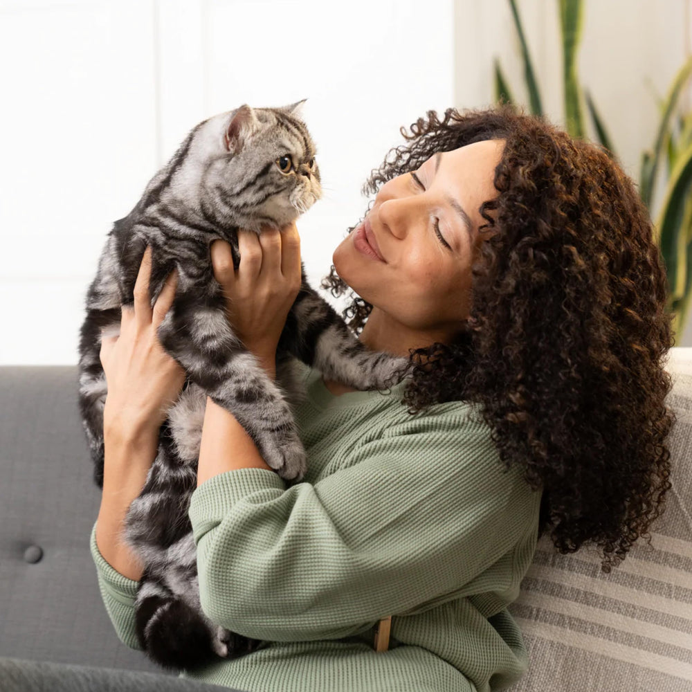 Open Farm Harvest Chicken, productos no transgénicos para dieta natural