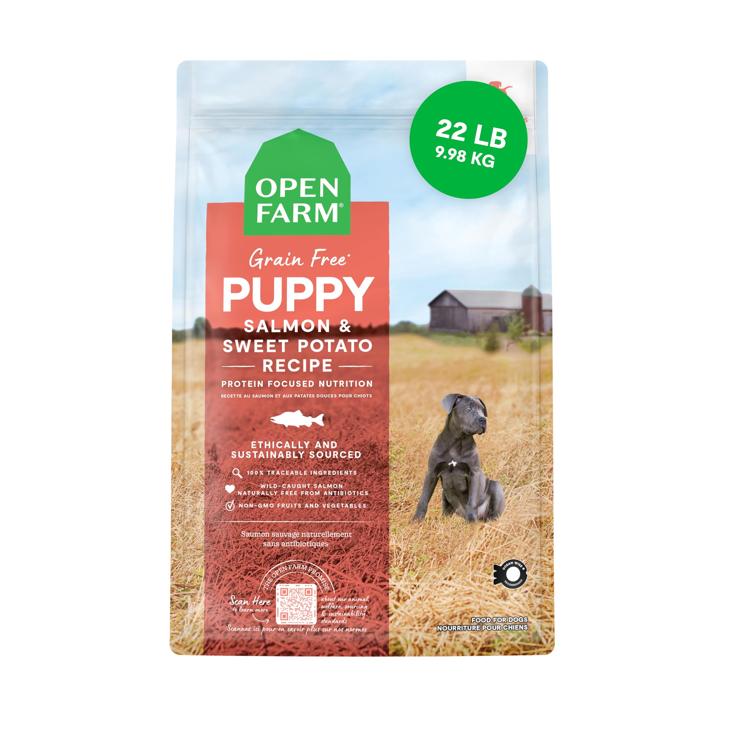 Open Farm Puppy con salmón y croquetas en tazón para cachorros en crecimiento