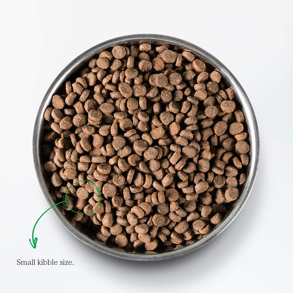 Open Farm Salmón seco para gatos — origen Pacífico y trazabilidad ética