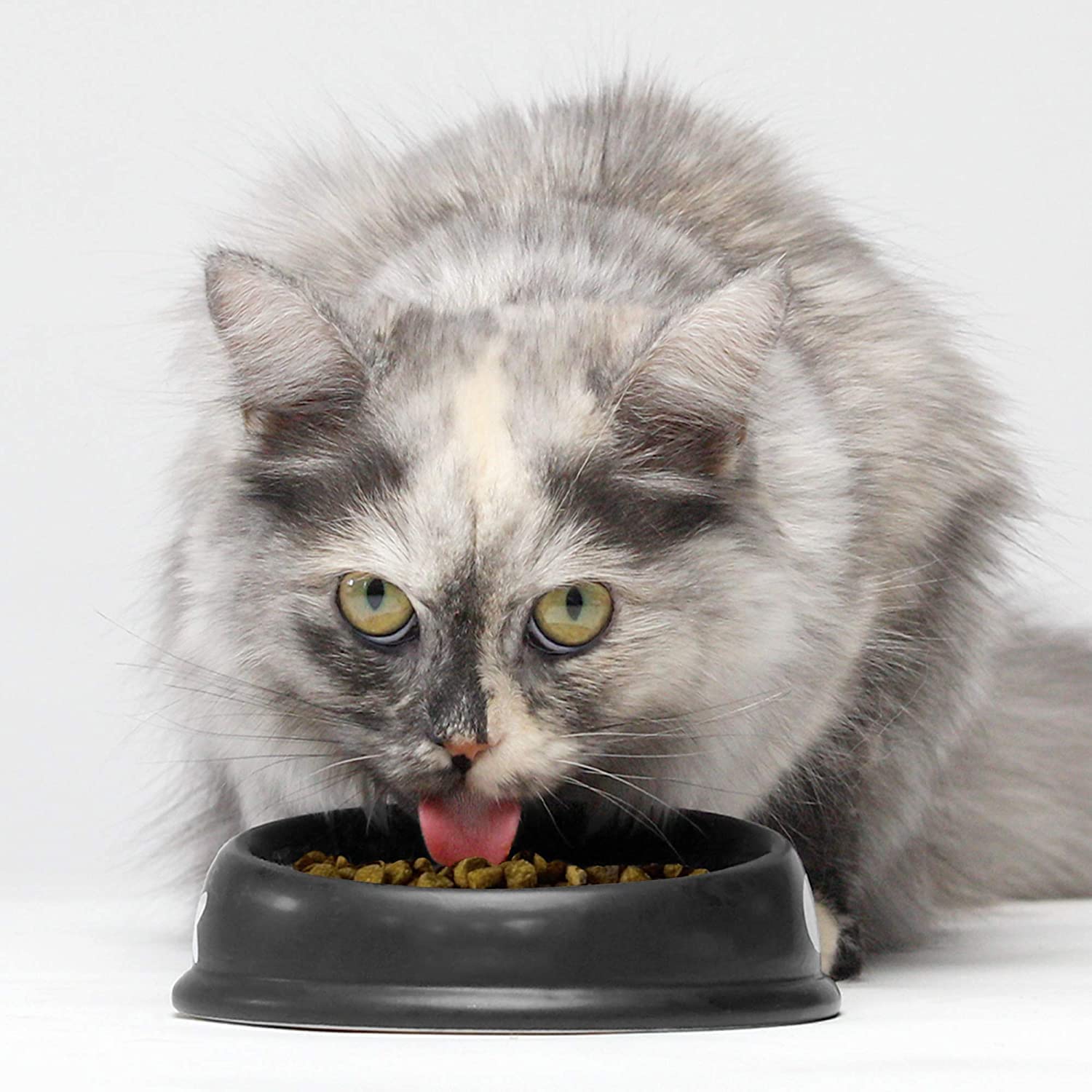 Open Farm Salmón seco para gatos — croquetas de tamaño adecuado