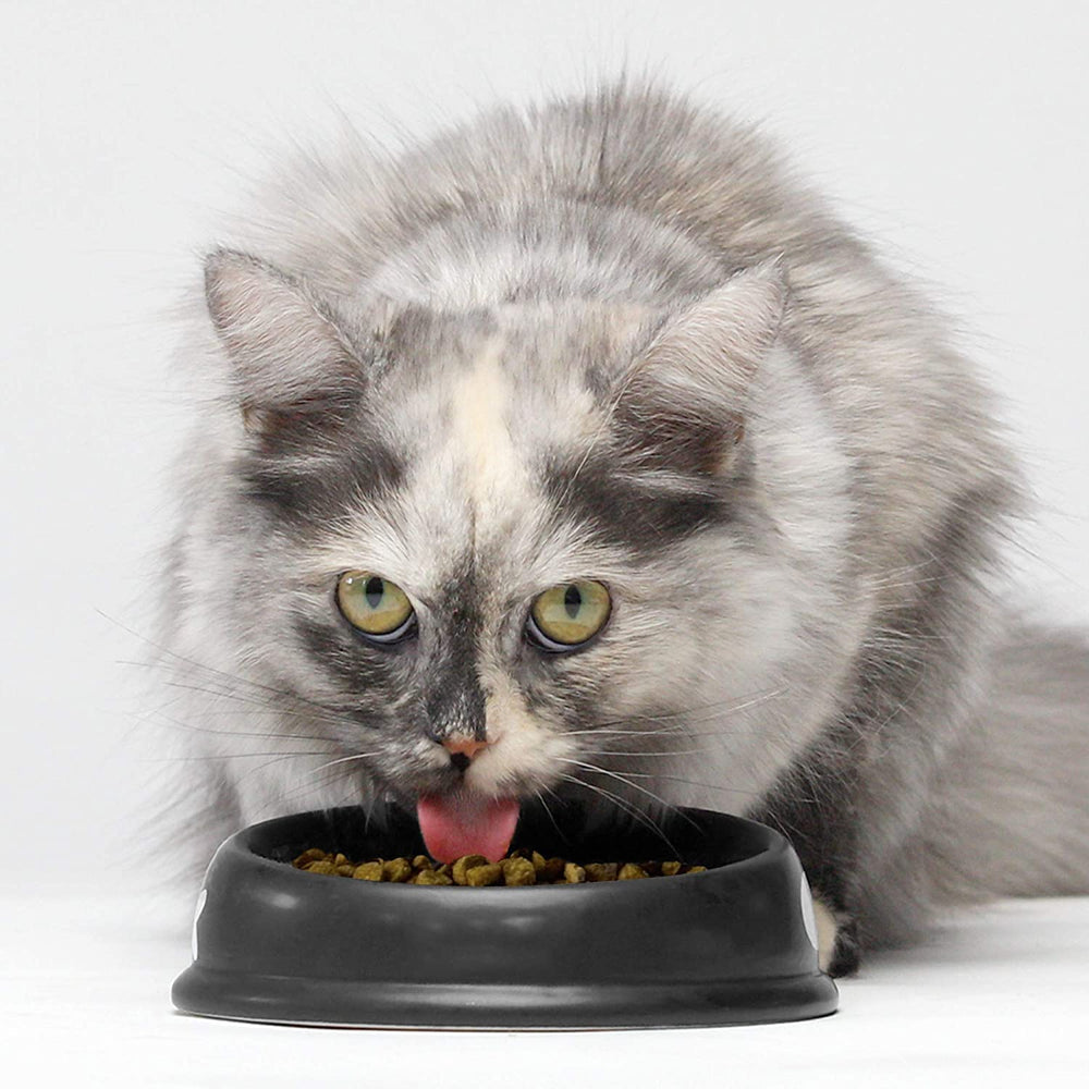 Open Farm Salmón seco para gatos — croquetas de tamaño adecuado