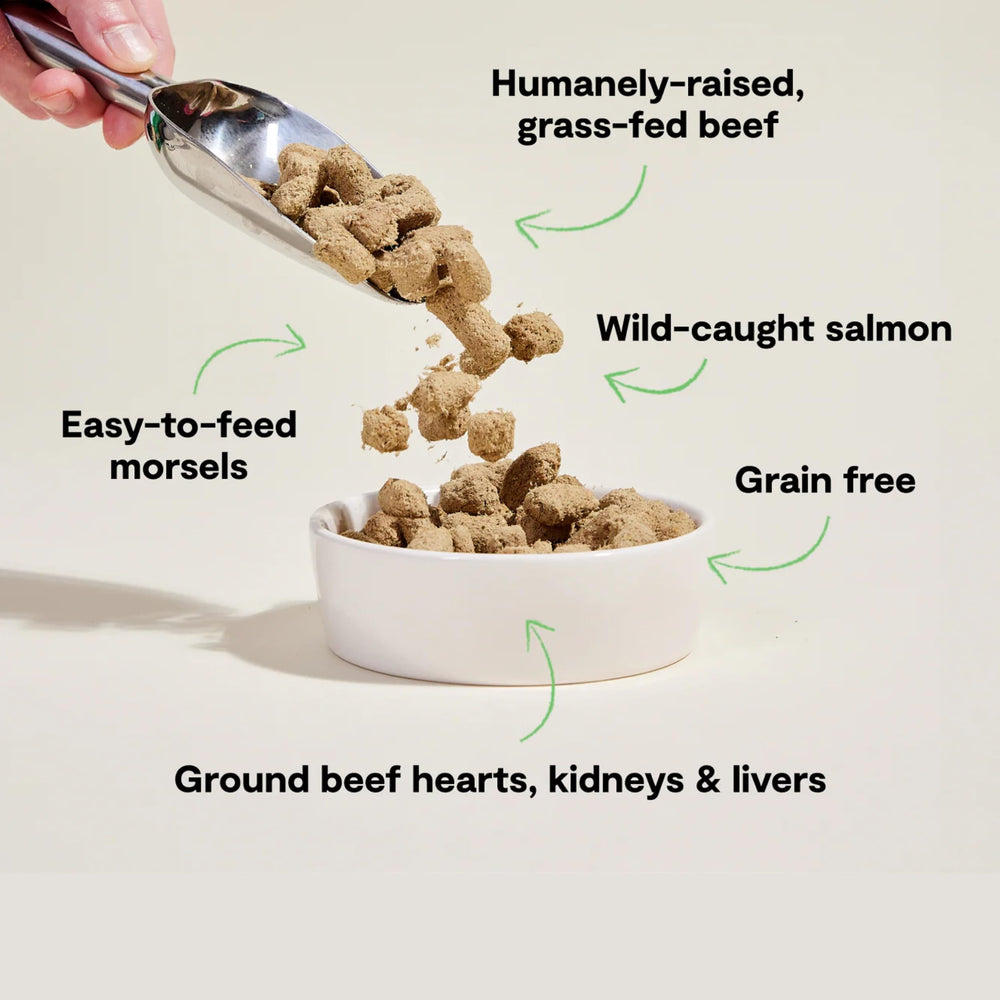 Open Farm Surf & Turf: ingredientes orgánicos para una dieta completa.