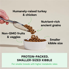 Open Farm proteína alta con carne de pavo para cachorros pequeños.