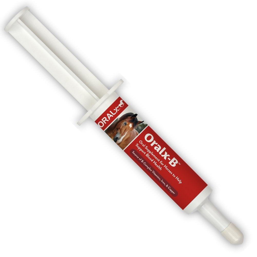Oralx-B: pasta de vitaminas B para caballos, soporte nutricional diario.