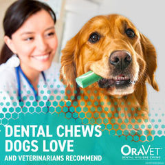 Perro mordisquea OraVet, masticables dentales para limpieza diaria.