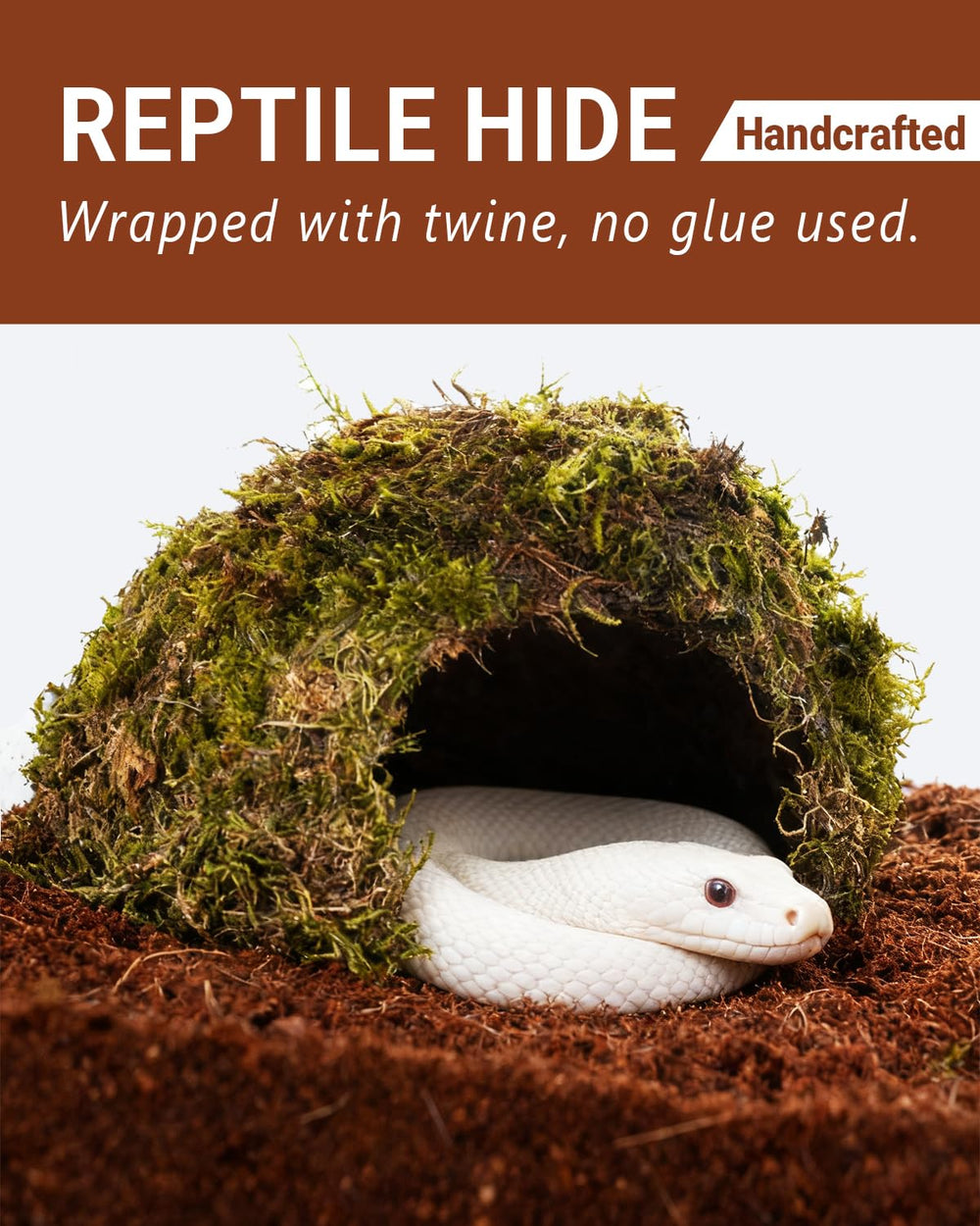 ORBIDYN domo con interior hueco, escondite seguro para reptiles pequeños.