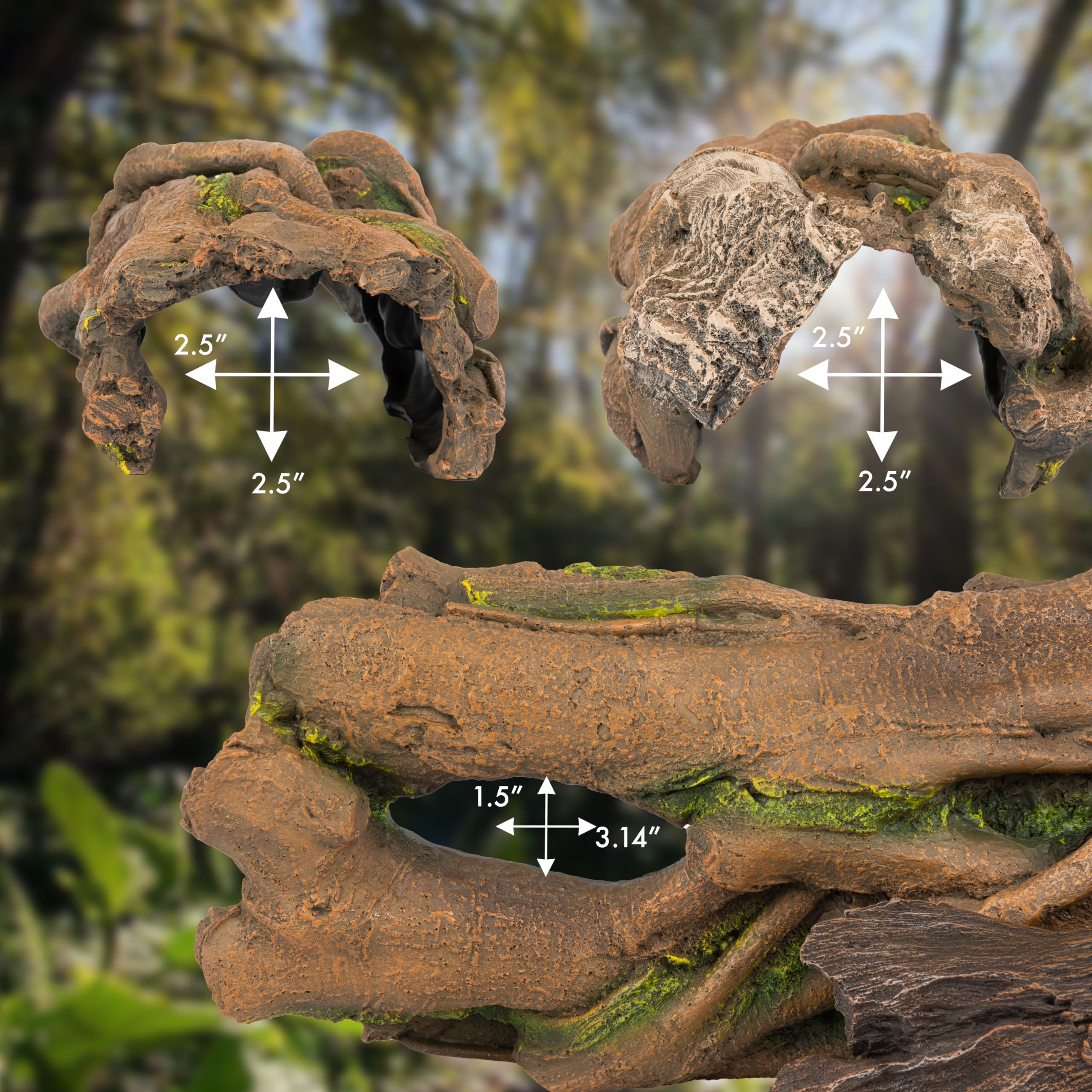 Orchid Valley interior liso sin aristas, seguro para reptiles