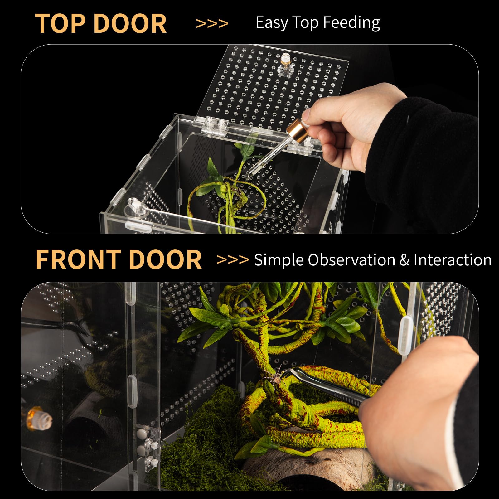 Orekemo Terrario Reptil, pared cristal 360 para monitoreo sin obstáculos