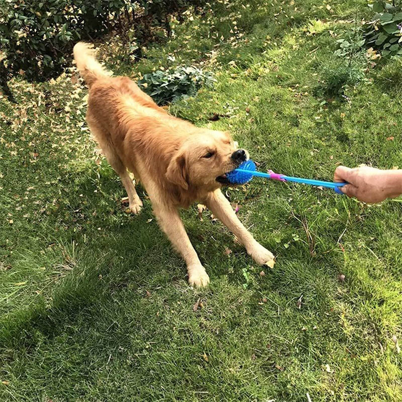 Orgrimmar bola para perro duradera, resistente a mordidas repetidas