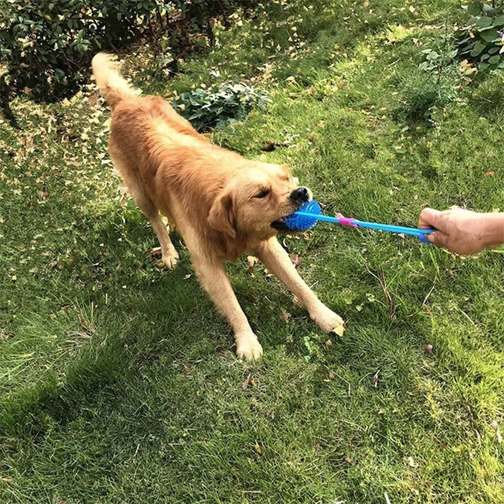 Orgrimmar bola para perro duradera, resistente a mordidas repetidas