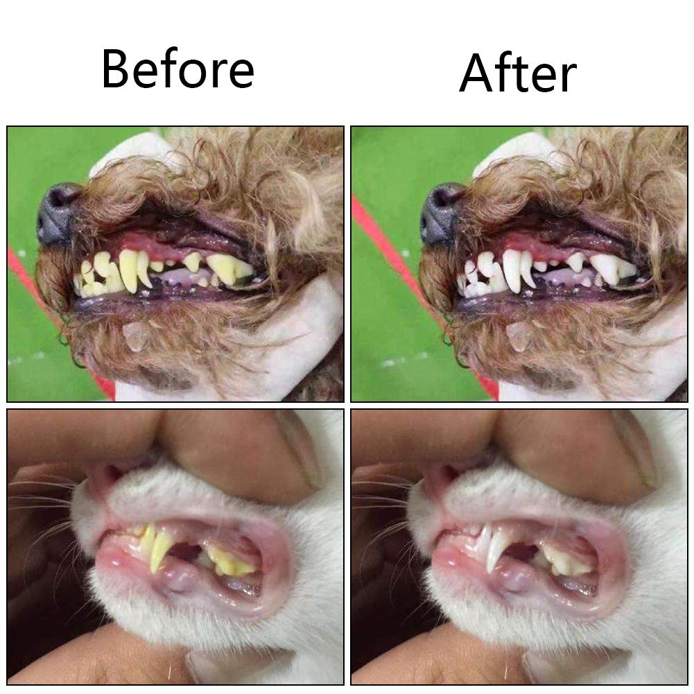 Orgrimmar para perros y gatos, compatible con diversas razas