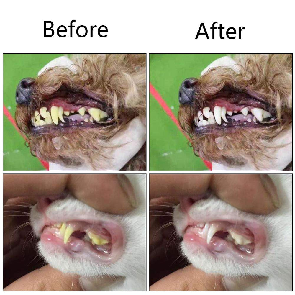 Orgrimmar para perros y gatos, compatible con diversas razas