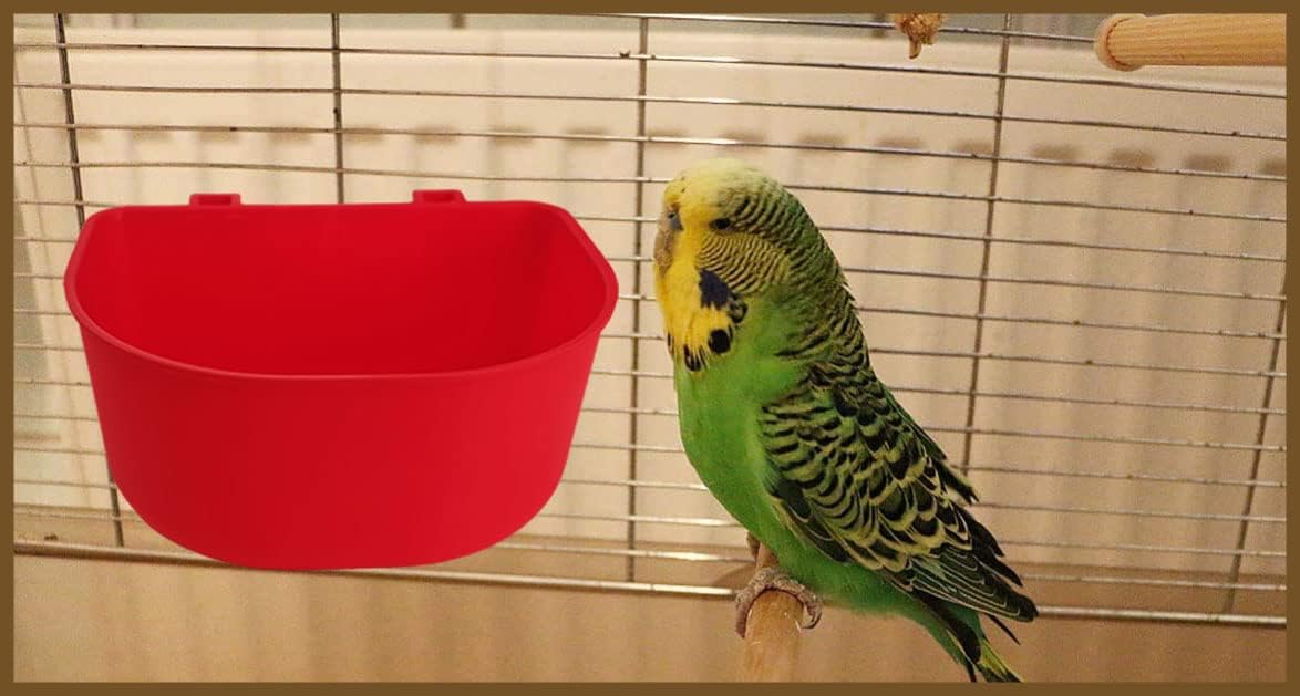 Uso versátil ORIBUKI: cuenco, bebederos o baño para aves y roedores.