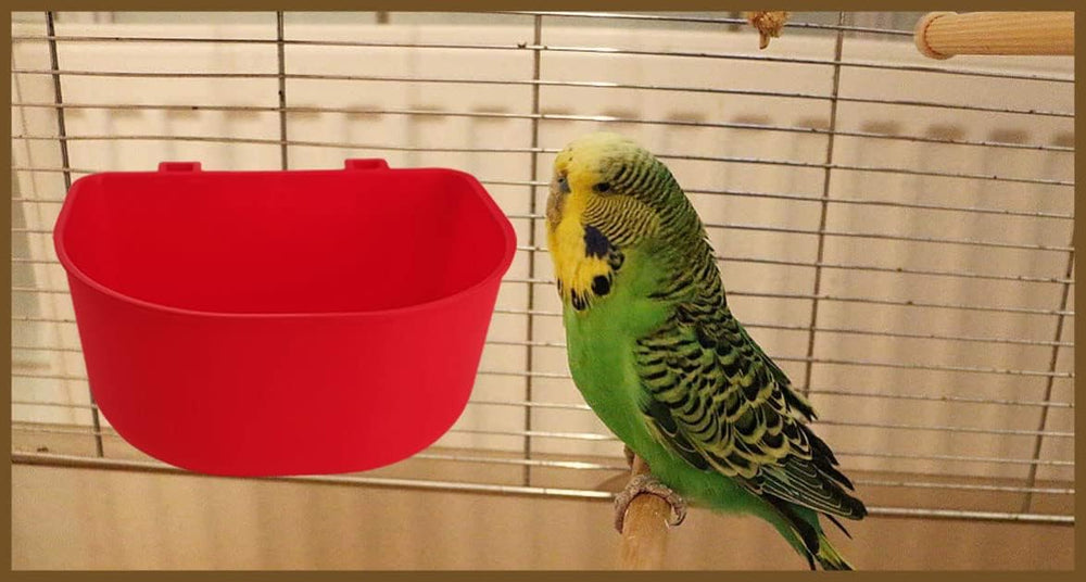 Uso versátil ORIBUKI: cuenco, bebederos o baño para aves y roedores.