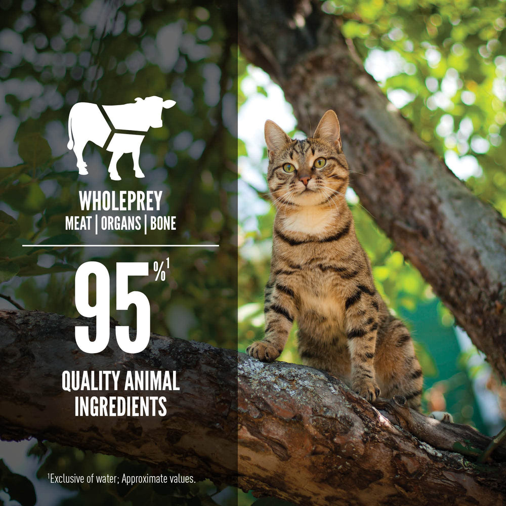 ORIJEN Alimento húmedo para gato con 80% humedad y sabor intenso