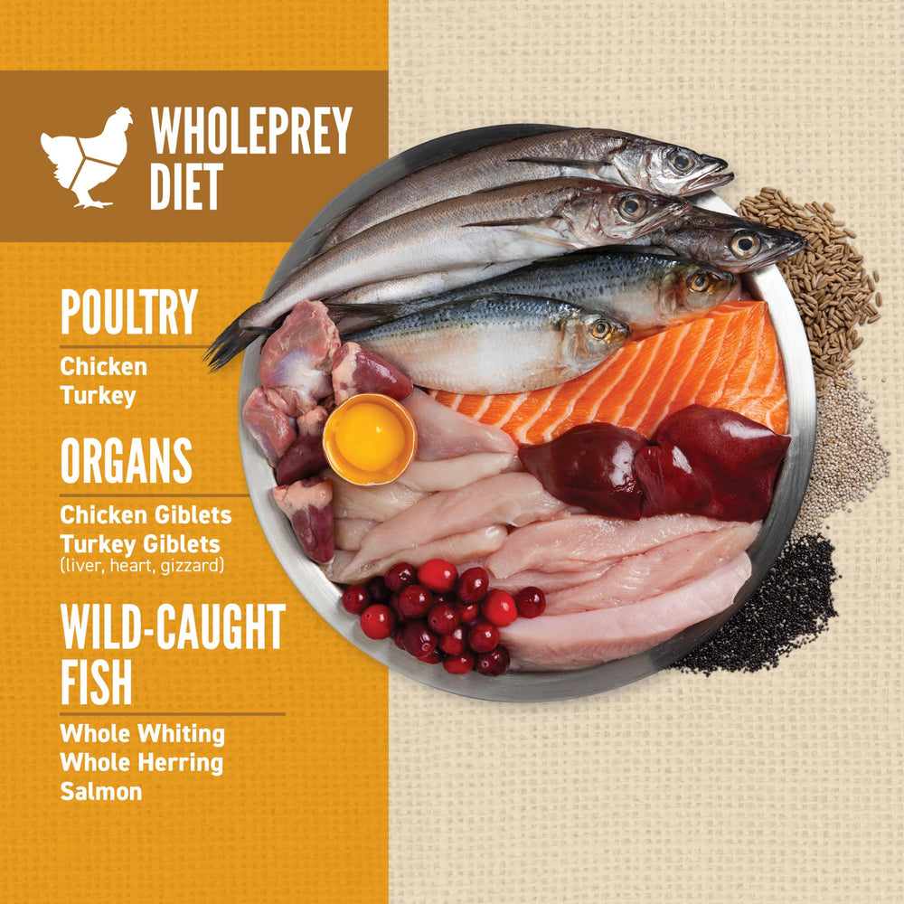 ORIJEN Amazing Grains: ingredientes primeros para cachorro, pollo fresco y pescado completo.