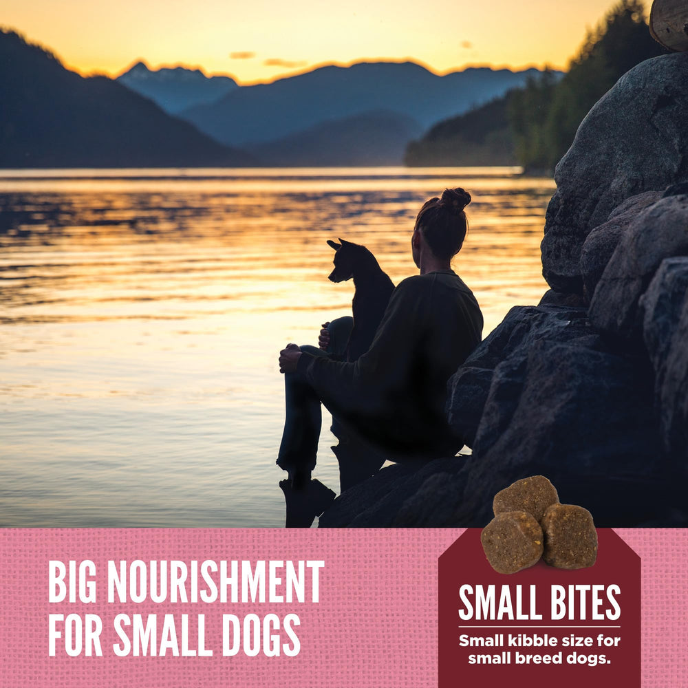 ORIJEN Amazing Grains prebióticos y probióticos para la salud digestiva