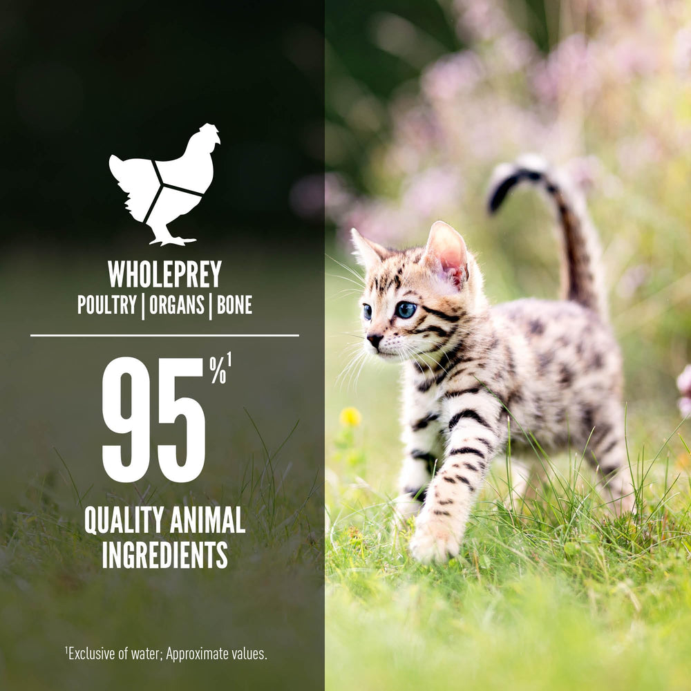 ORIJEN Lata con 80% de humedad para gatitos, favorece la hidratación.