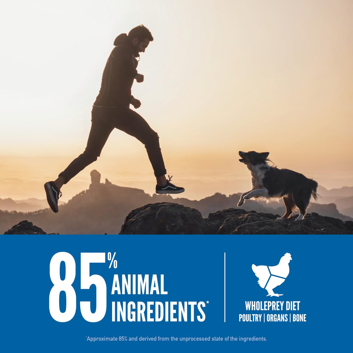 Ingredientes de presa entera: órganos y huesos para nutrición completa.