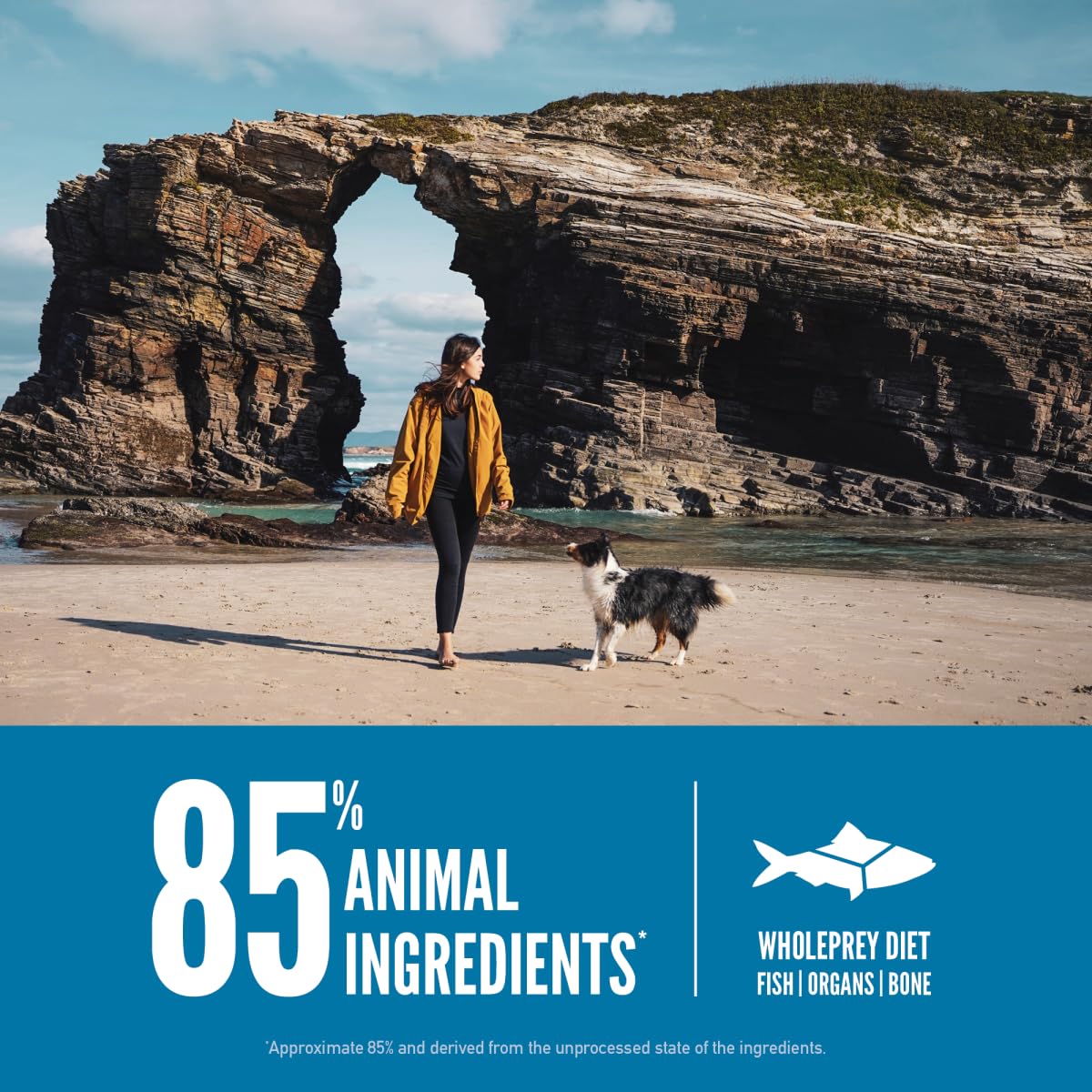 ORIJEN Seis Pescados, primeros seis ingredientes son pescados enteros frescos.