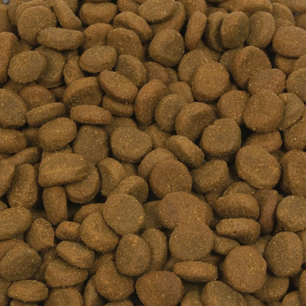 ORIJEN Regional Red 25 lb: ingredientes frescos listos para alimentar a tu perro