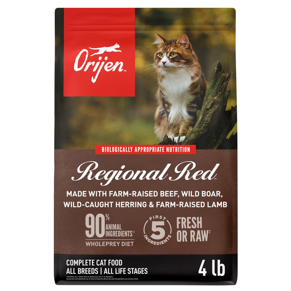 ORIJEN Regional Red, alimento seco sin granos para gatos activos.