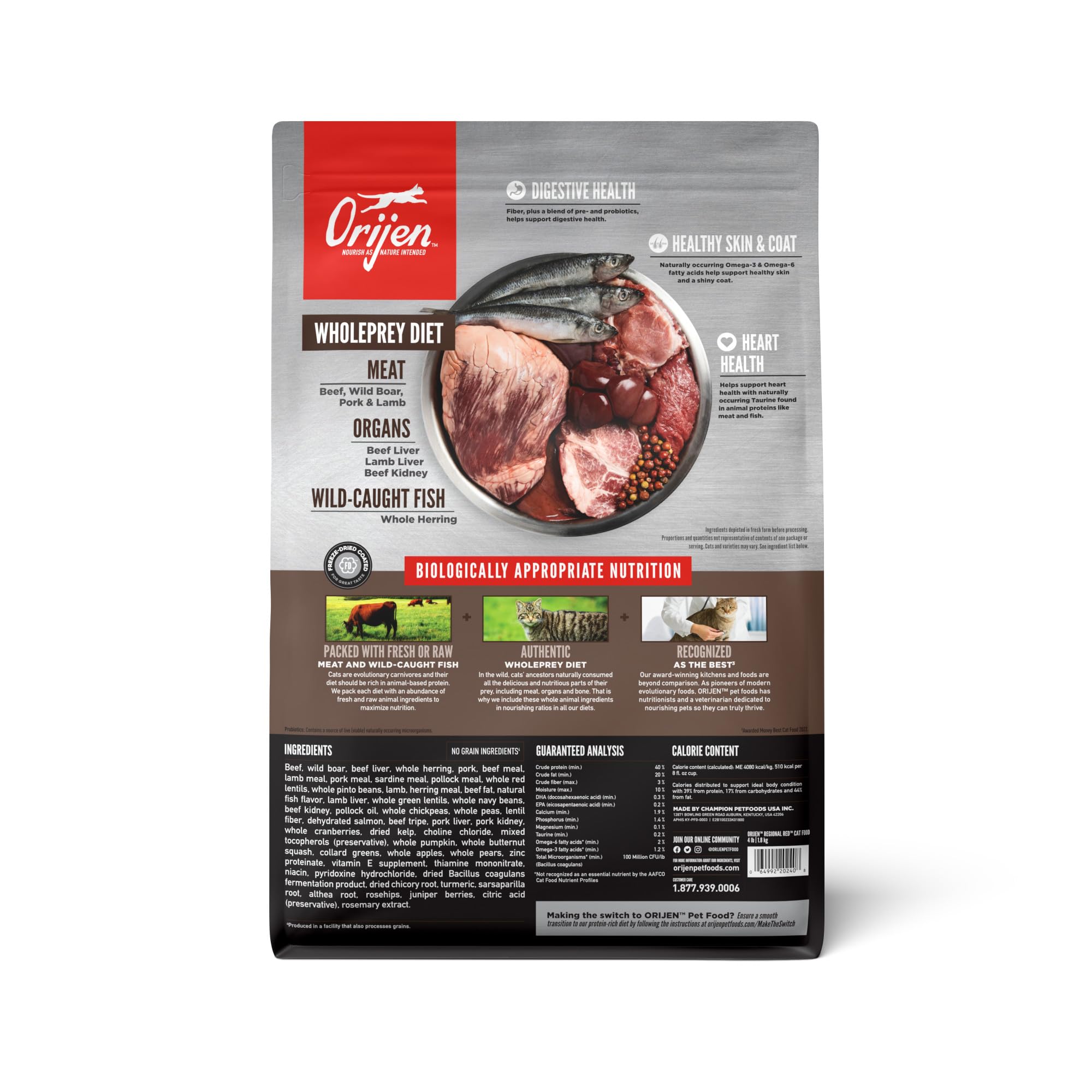 ORIJEN Regional Red, gato comiendo kibble, alto contenido proteico para energía diaria.