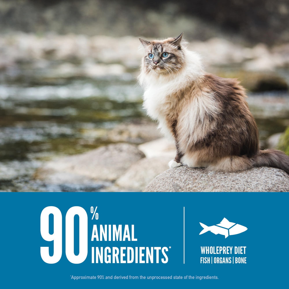 Proteína alta en ORIJEN Seis Pescados para gatos activos.