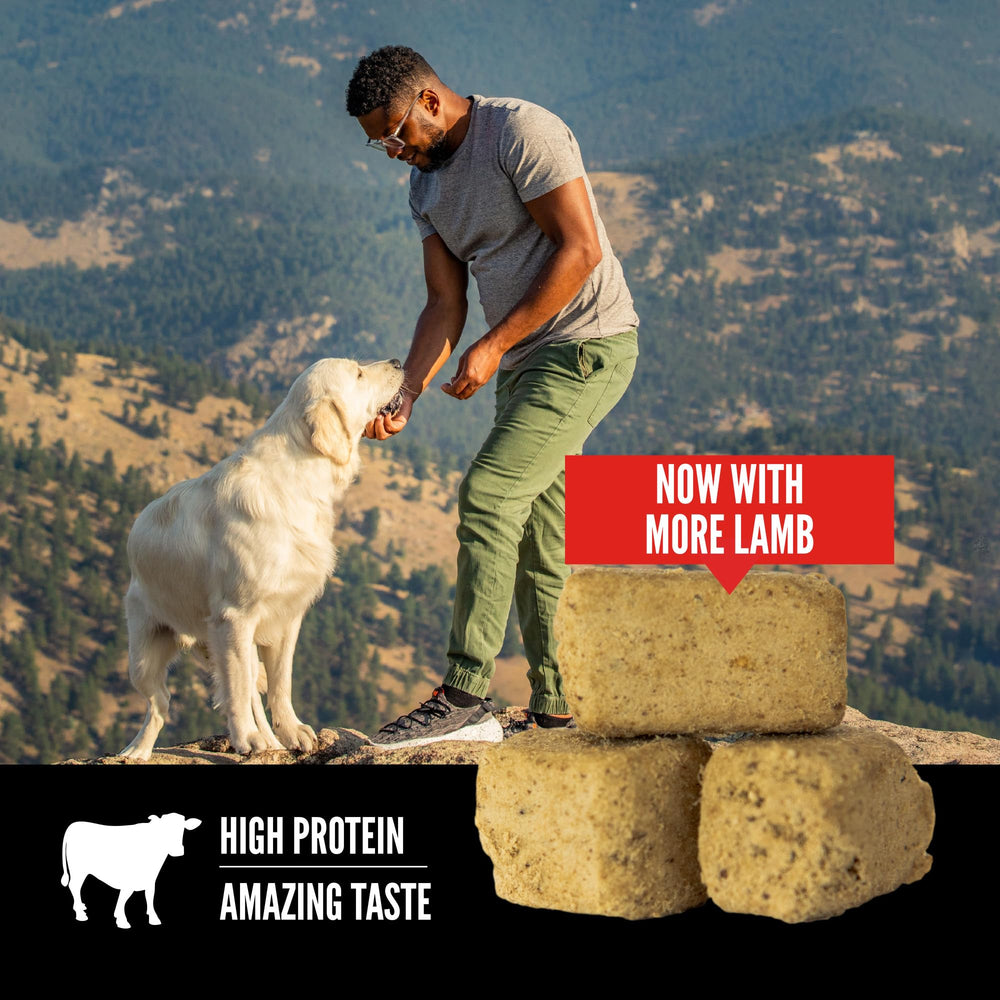ORIJEN snack de entrenamiento para perros con sabor intenso.