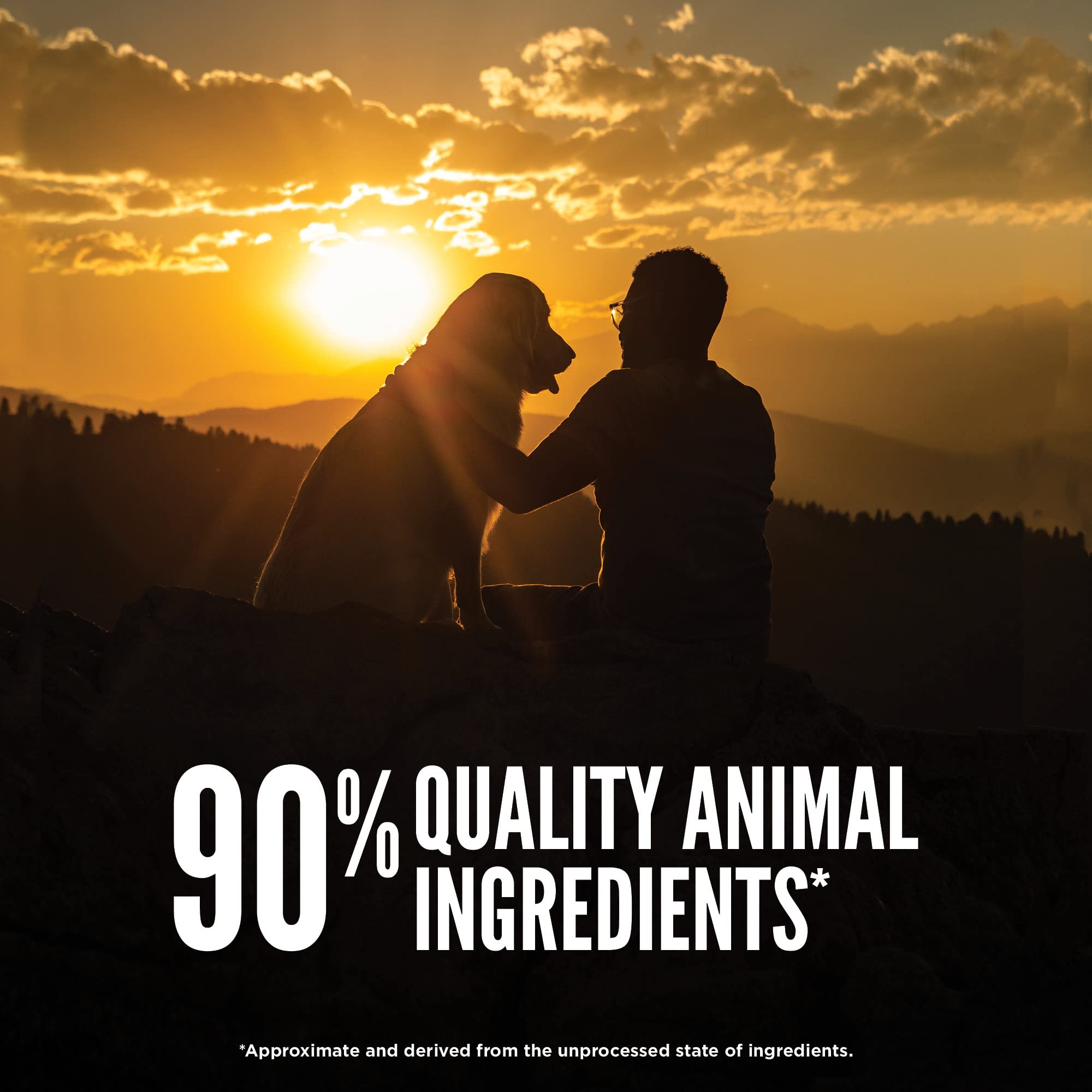 ORIJEN TUNDRA sin granos, ideal para dietas sensibles de perros.