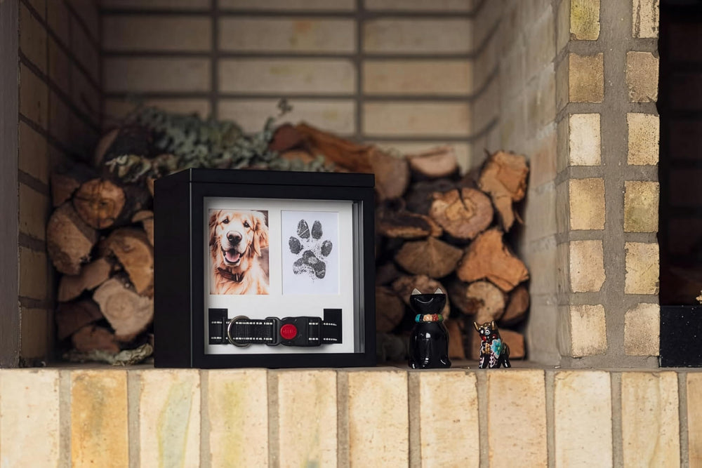 Urna OtterPets con dimensiones para cenizas y recuerdos en negro