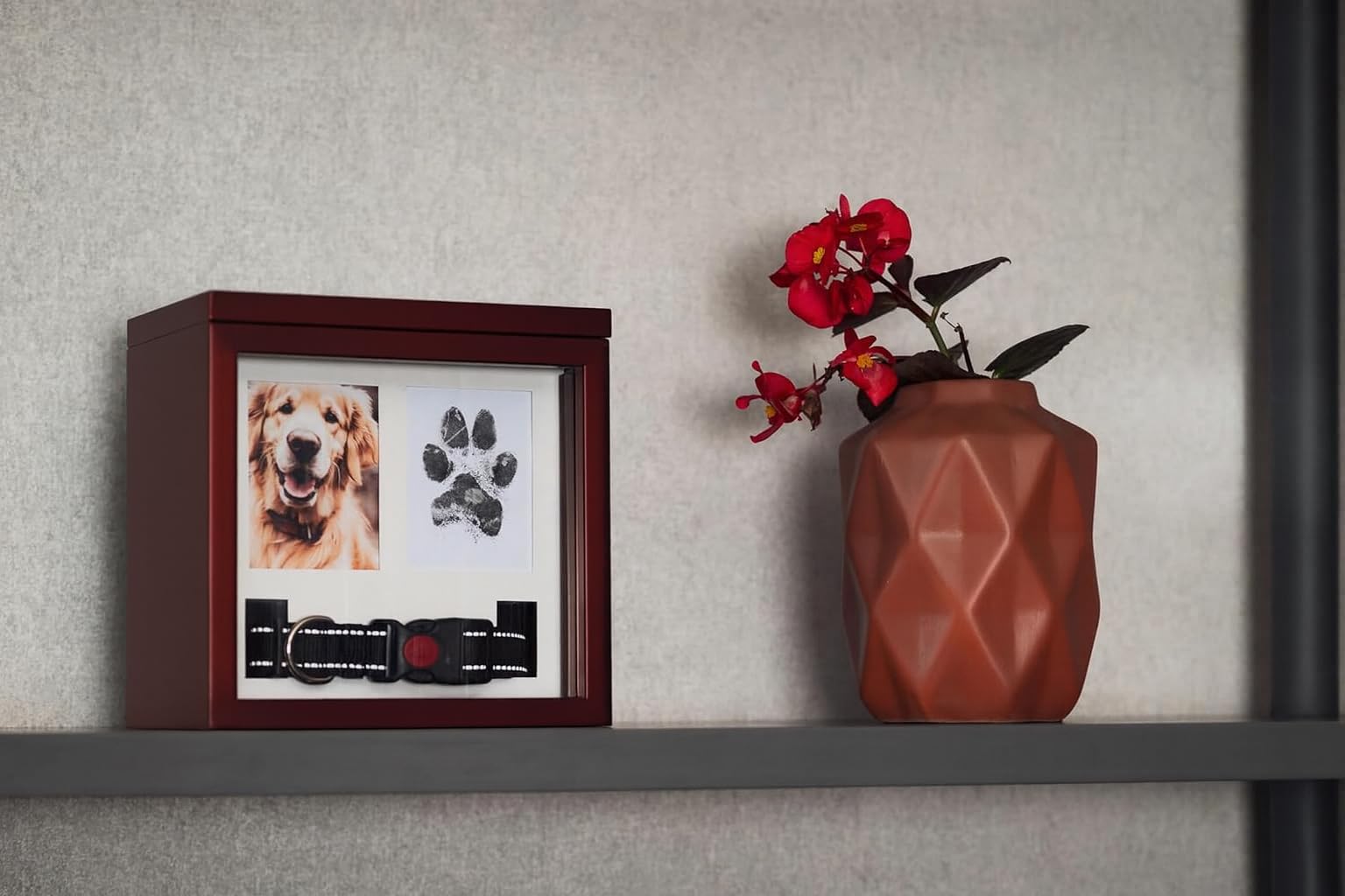 Dimensiones de la urna OtterPets 8.5 x 8.5 x 5.75 pulgadas.