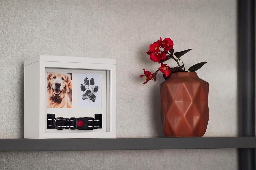 OtterPets urna muestra dimensiones 21,6 cm x 21,6 cm x 14,6 cm