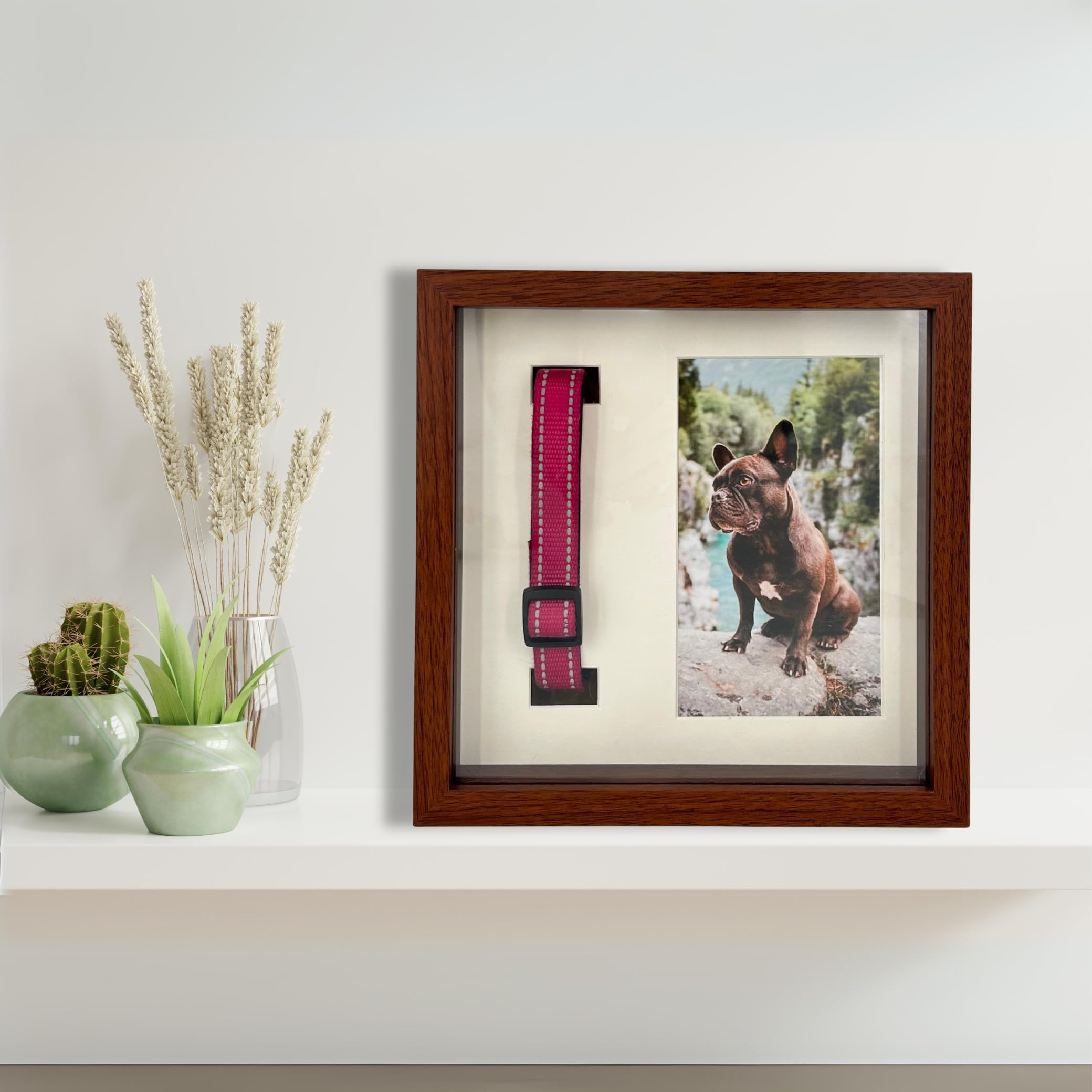 Montaje pared mesa OtterPets – configuración cómoda de 9x9.
