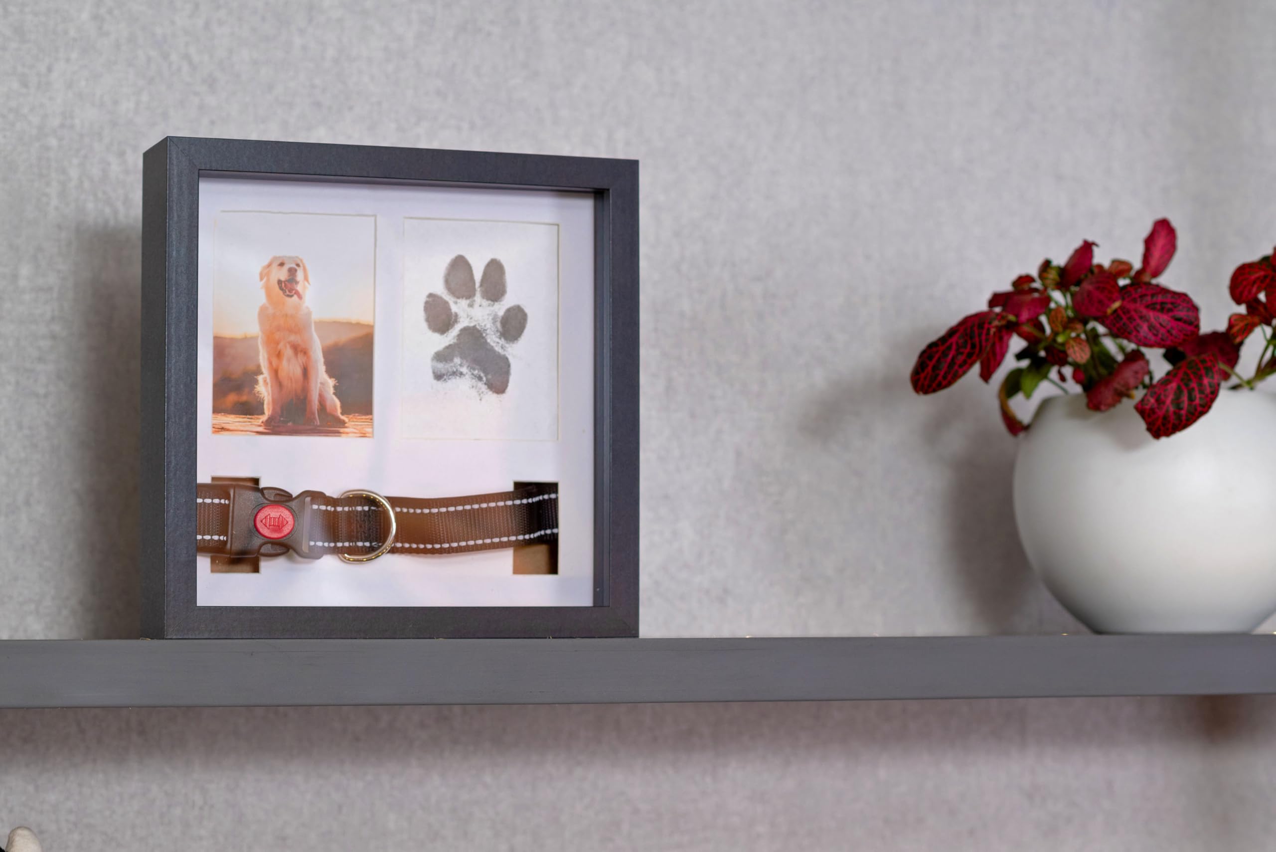 OtterPets uso en mesa o pared para exhibir recuerdos