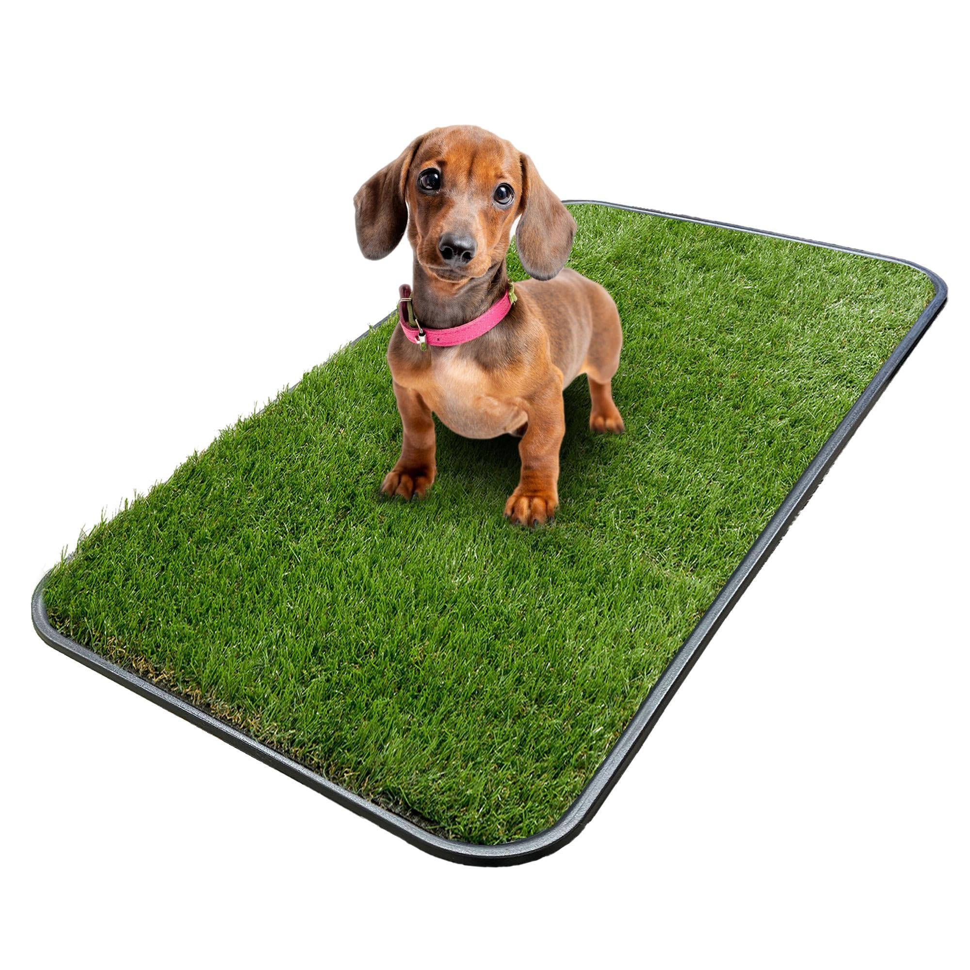 Ottomanson cesped artificial para entrenamiento de cachorros, ideal para uso interior.