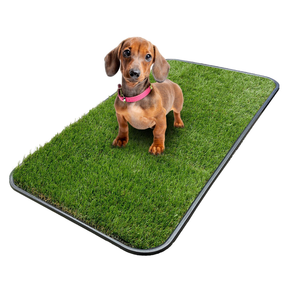 Ottomanson cesped artificial para entrenamiento de cachorros, ideal para uso interior.
