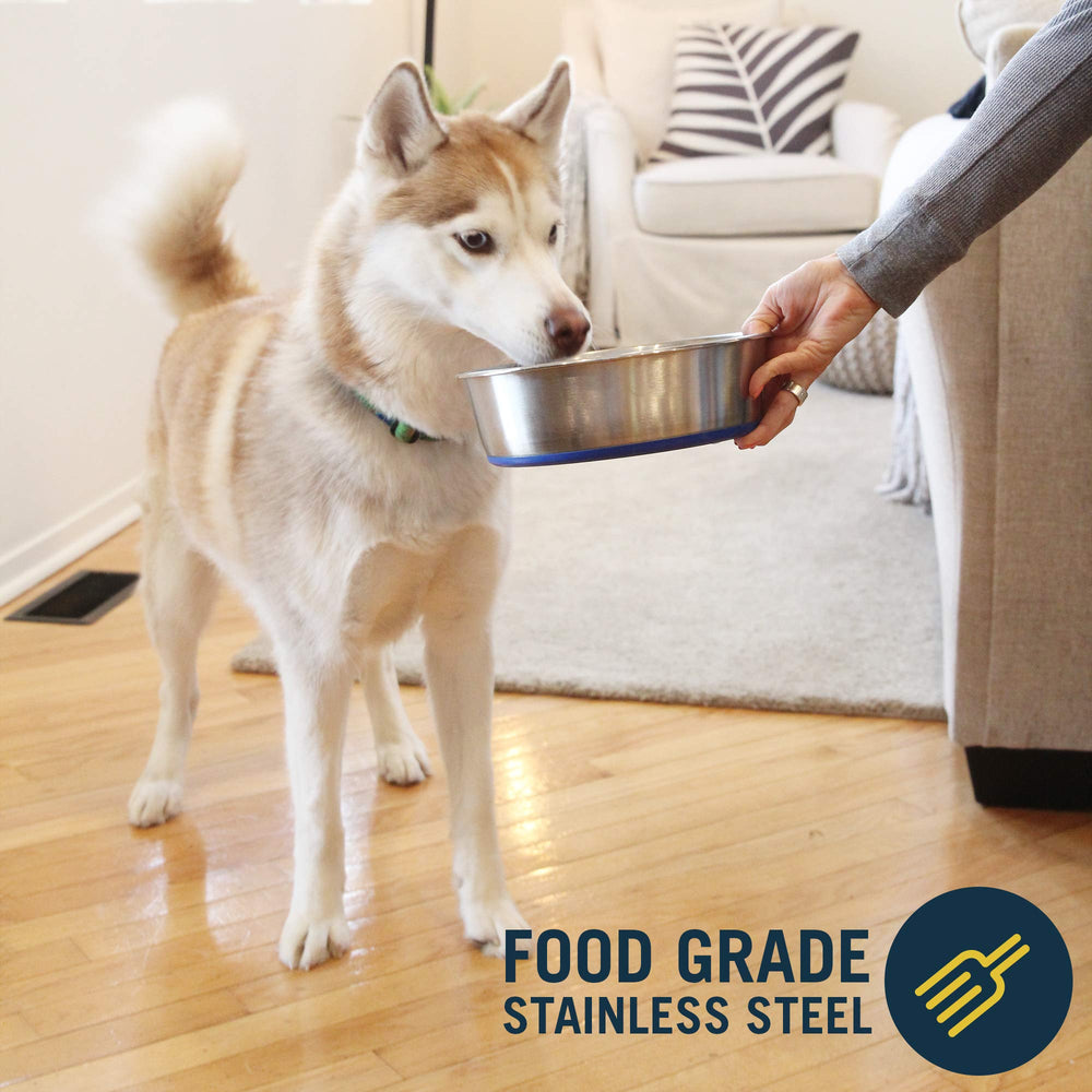 Our Pets DuraPet base antideslizante para evitar deslizamientos durante la comida