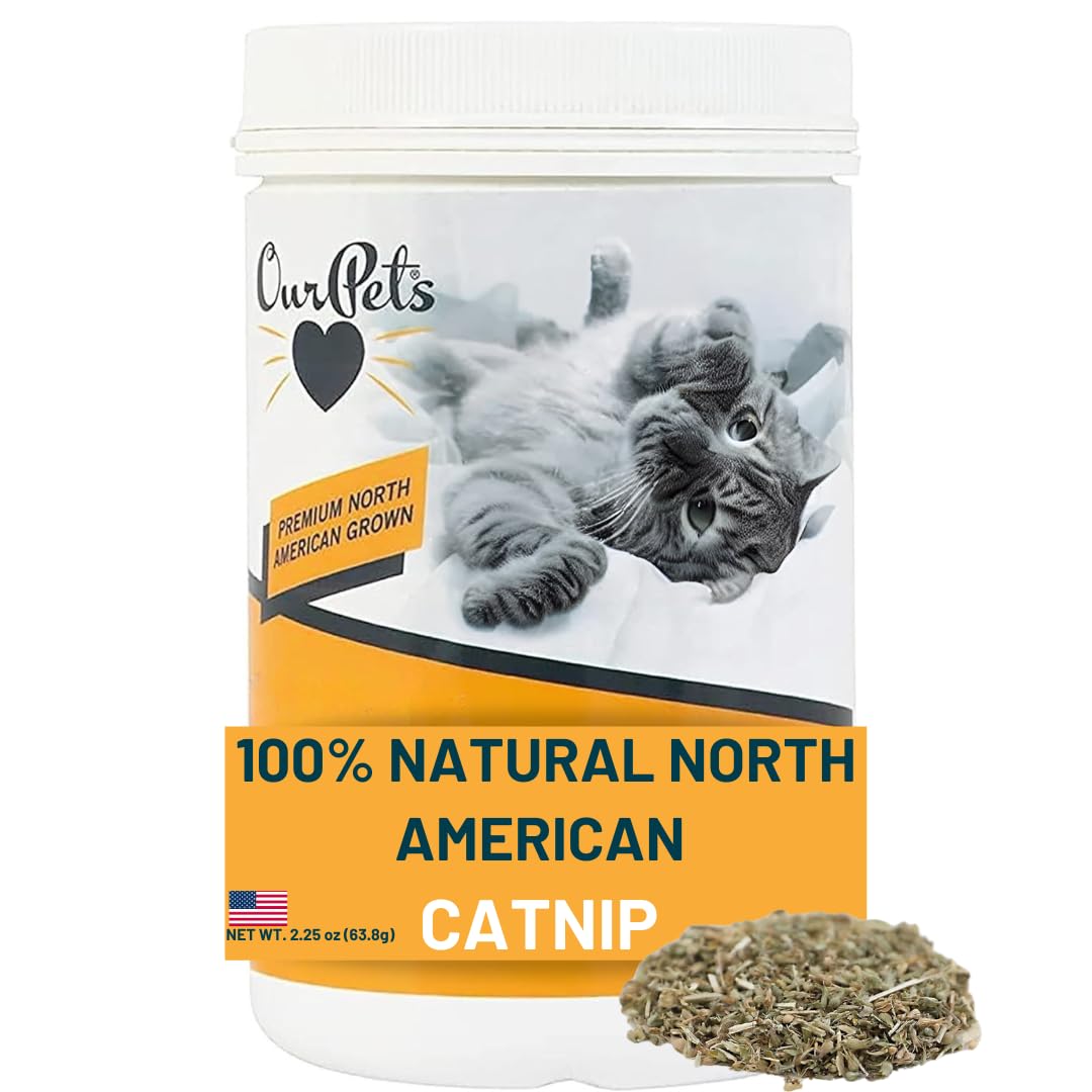 OurPets Catnip, frasco de 2.25 oz, para juego felino seguro.
