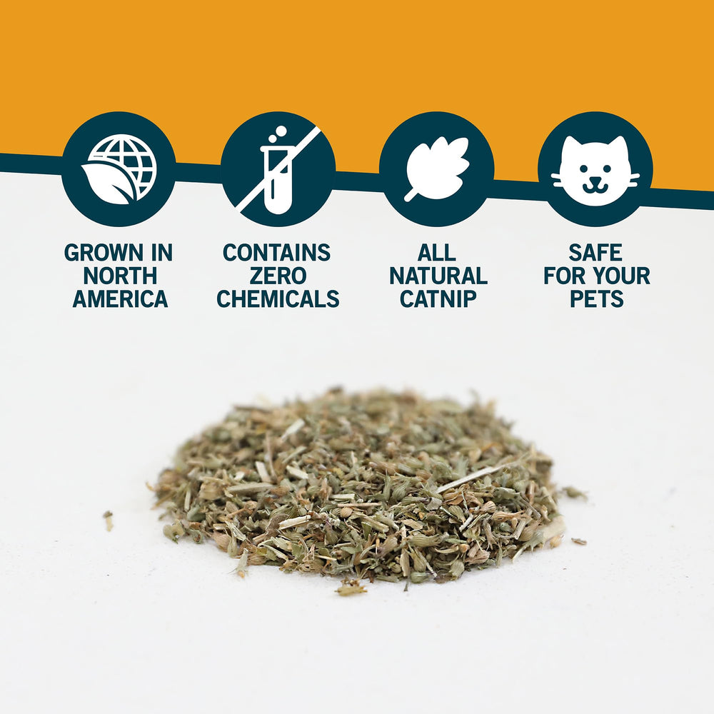 Uso cada dos días para mantener el interés en OurPets Catnip.